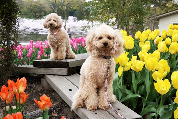 20130463.jpg