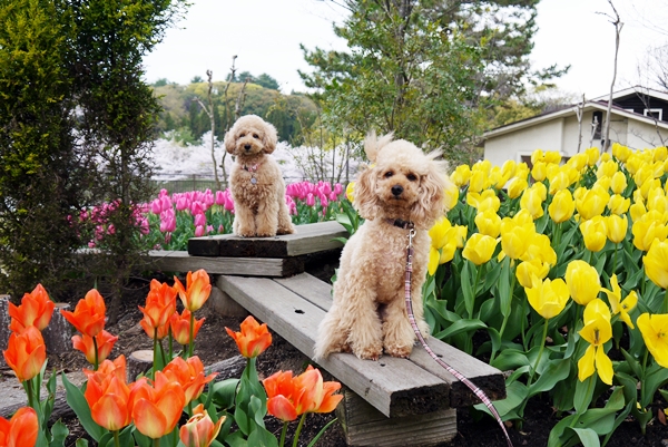 20130466.jpg