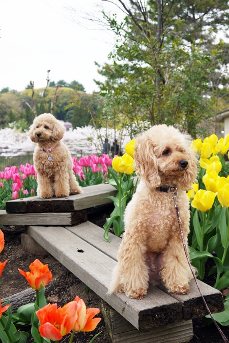 20130469.jpg