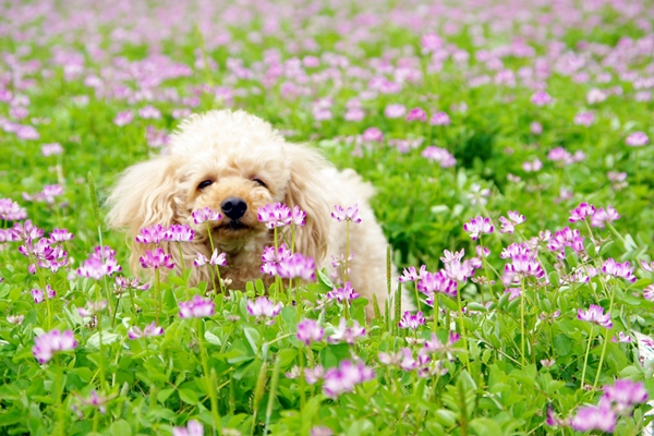 20130473.jpg