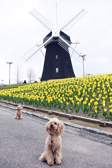 20130507.jpg