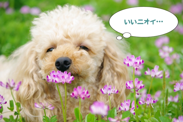 20130509.jpg