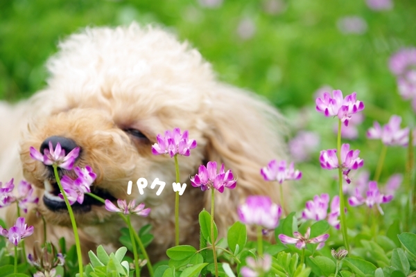 20130515.jpg