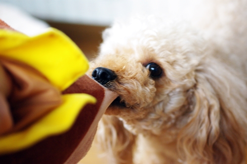 201305163.jpg