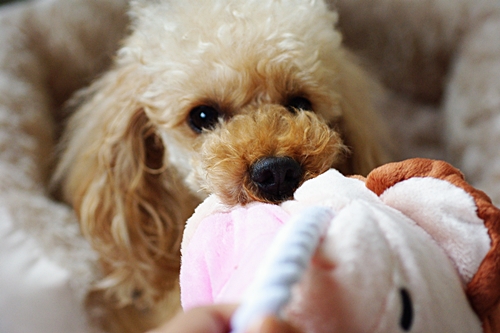 201305170.jpg