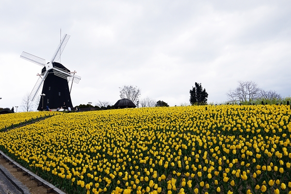20130518.jpg