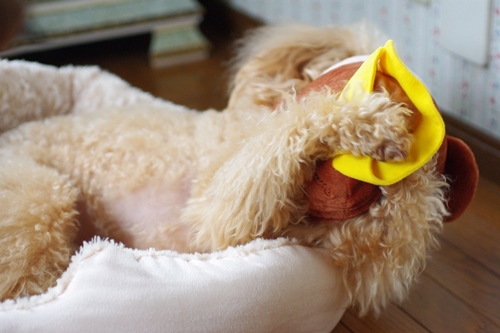 201305195.jpg