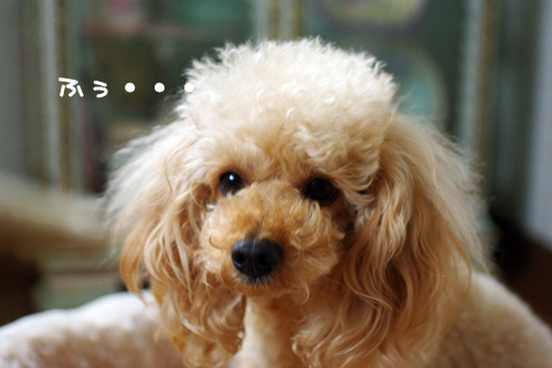 201305201.jpg