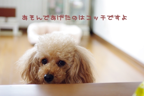 201305210.jpg
