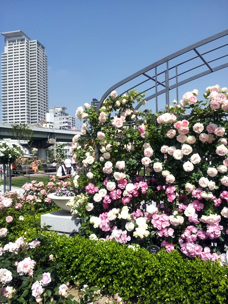 20130521_141853.jpg