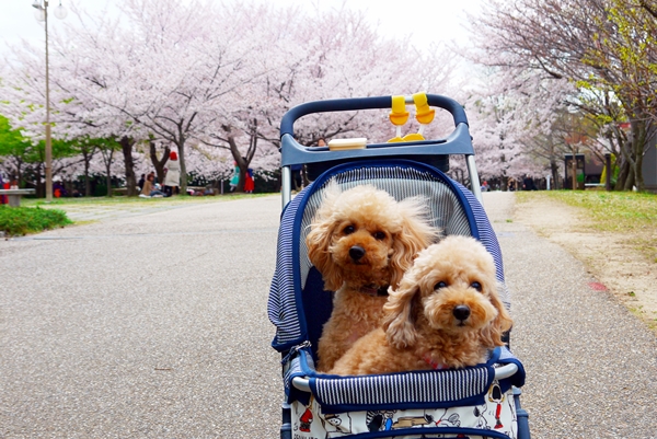 20130549.jpg