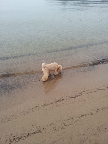 20130606_145233.jpg