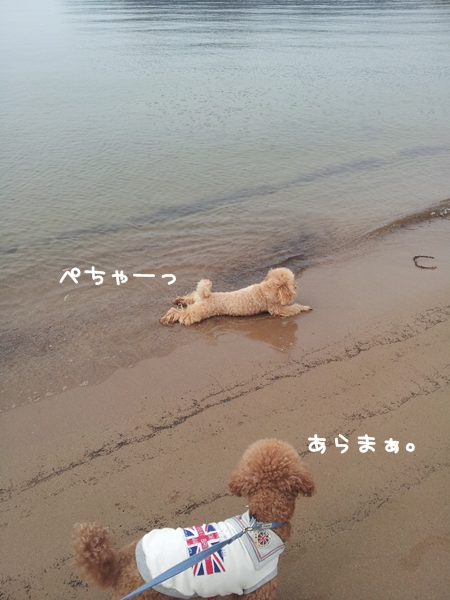 20130606_145238.jpg