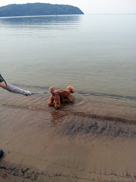 20130606_150523.jpg