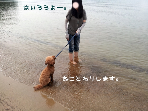 20130606_150930.jpg