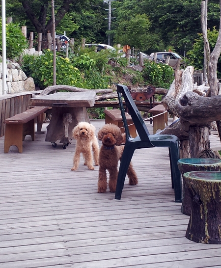 20130606_161025.jpg