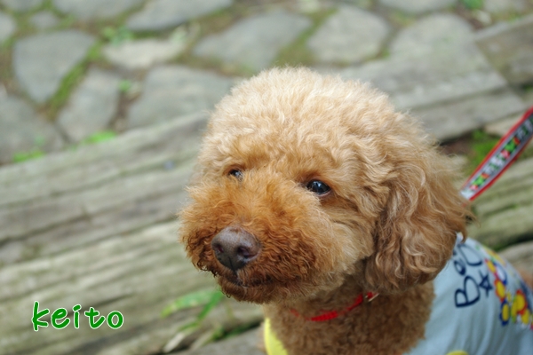 20130623.jpg