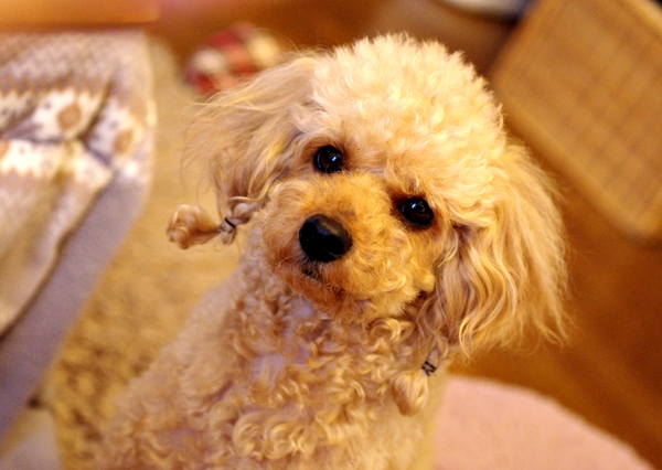 20130627.jpg