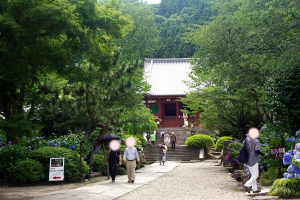 20130631.jpg