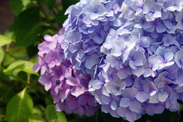 20130634.jpg