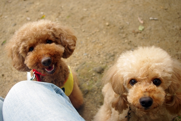 20130660.jpg