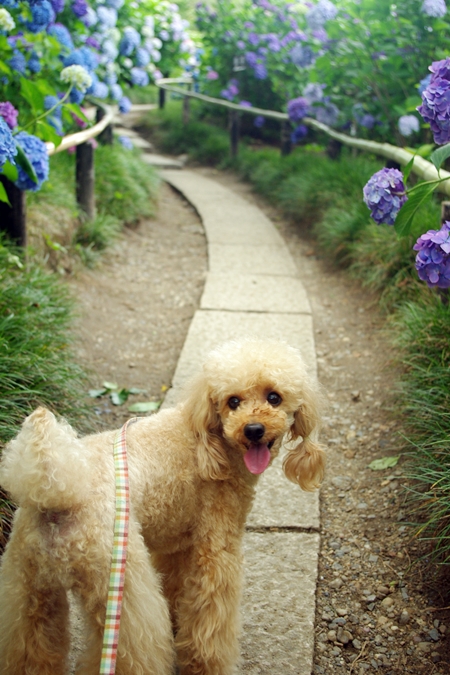 20130671.jpg