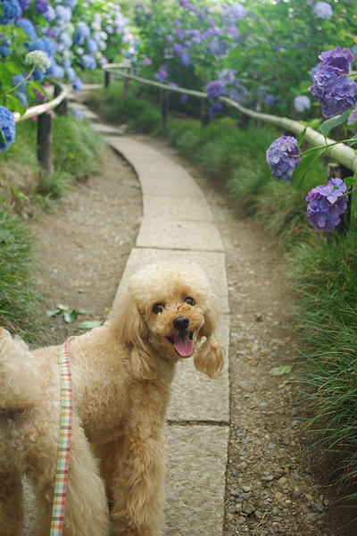 20130672.jpg