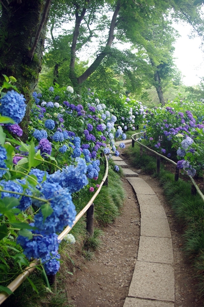 20130679.jpg
