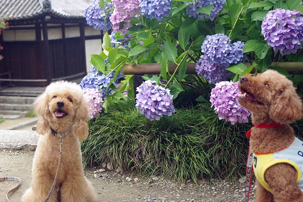 20130691.jpg