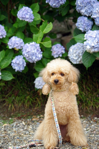 20130697.jpg