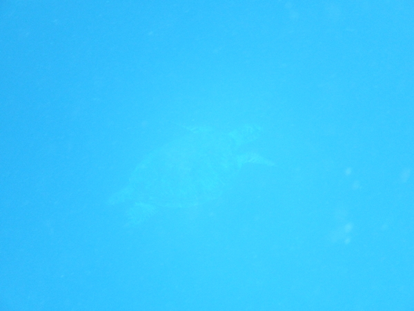 2013_0108_19495100.jpg