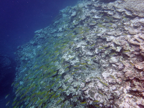 2013_0108_20090300.jpg