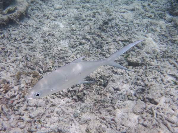 2013_0109_14410500.jpg