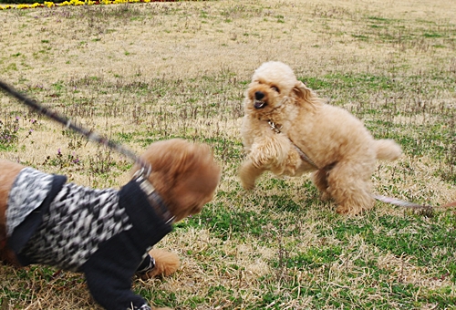 229_20130318205252.jpg