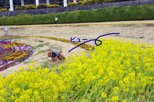 234.jpg