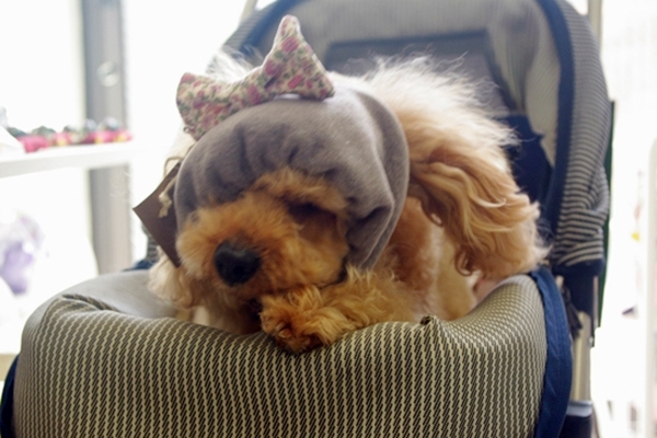 292_20130325155704.jpg