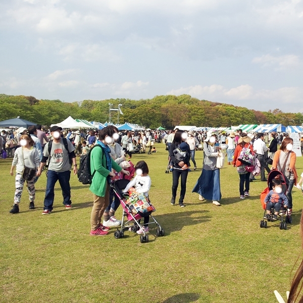 IMG_20130427_152900.jpg
