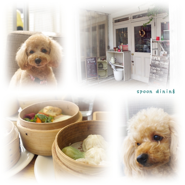 spoon_20130301112722.jpg