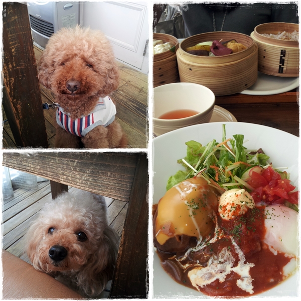 spoon_20130610190706.jpg