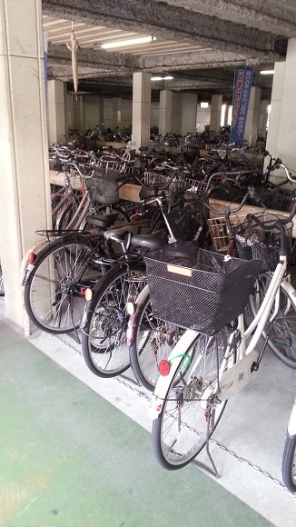 20140929_110116.jpg