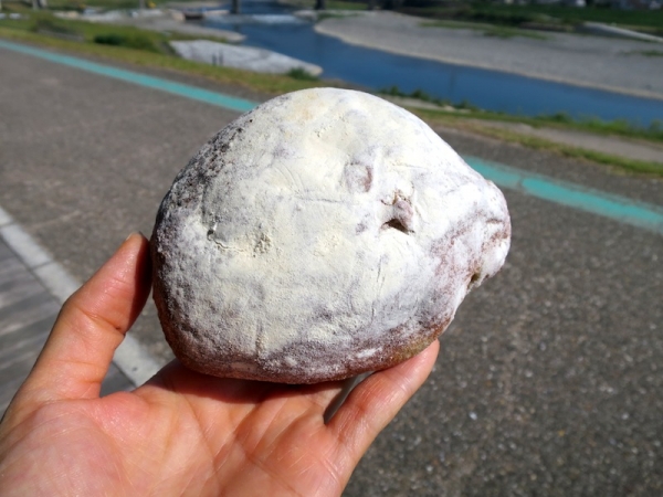 新町通り 河川敷 五條市 吉野川 やな漁
