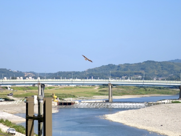 新町通り 河川敷 五條市 吉野川 やな漁