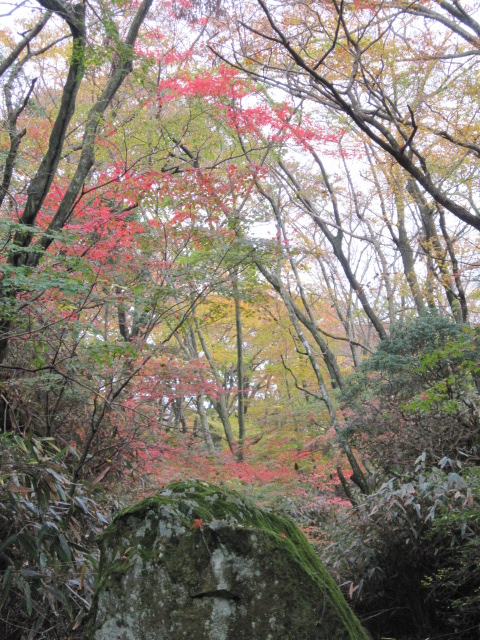 IMG_0647.jpg
