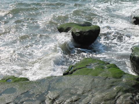 IMG_0987.jpg