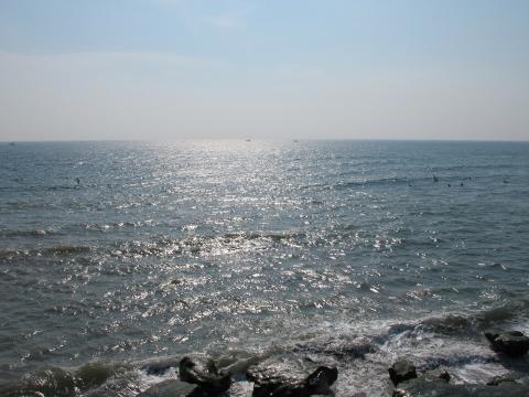 IMG_0990.jpg