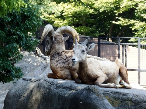 P9130061.jpg