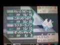 先制の爪頼みw