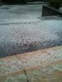 moblog_d7447f91.jpg