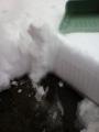 moblog_df7c739d.jpg