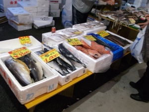 2014022305.jpg